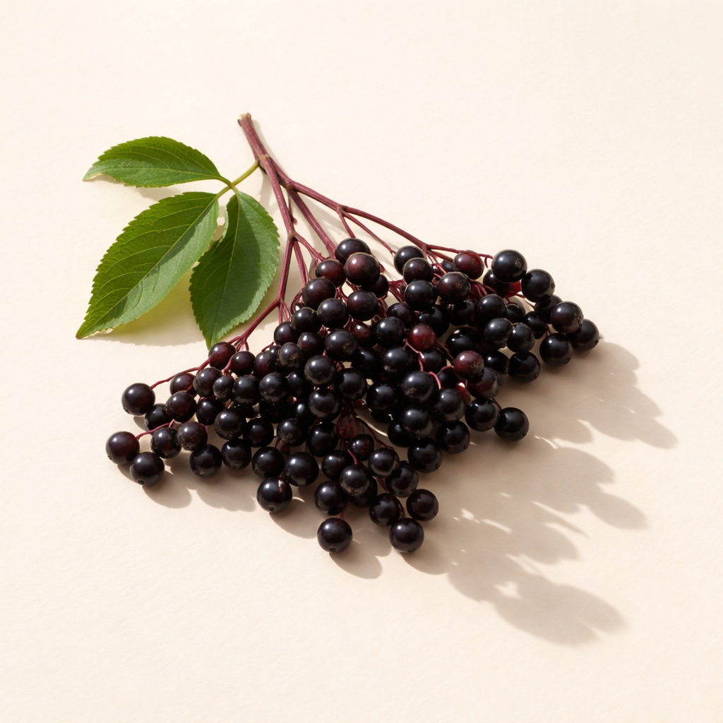 Lymphatic Herbal Oral Liquid Dietary Supplement